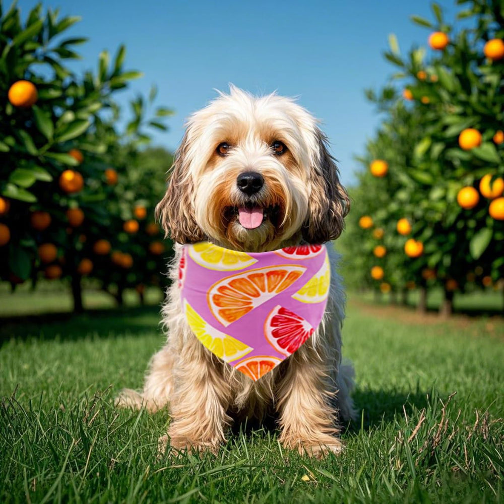 JpGdn panuelo fruta mango para perros, color vivo y vibrante.