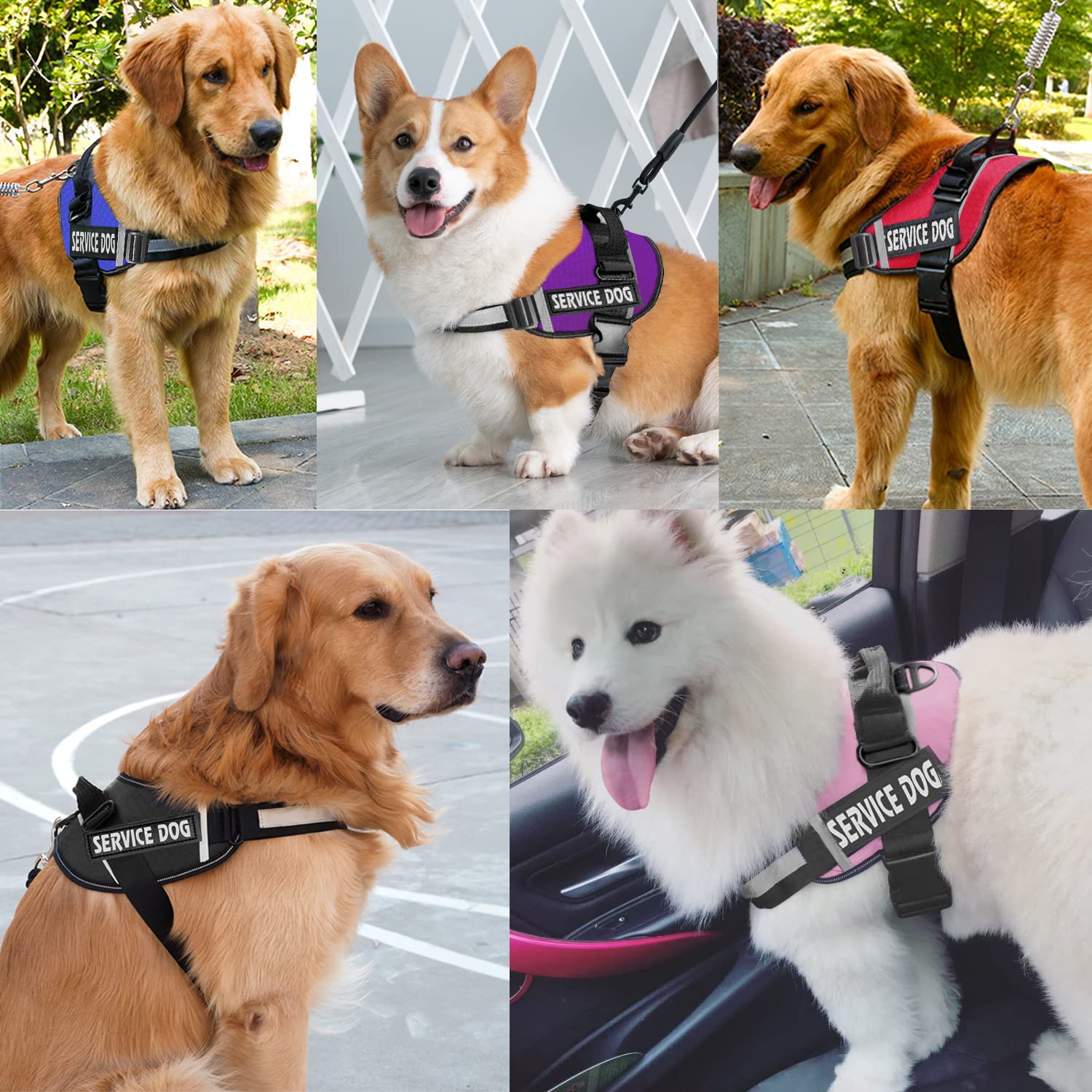 JSXD arnés perro con anillas de metal reforzadas.