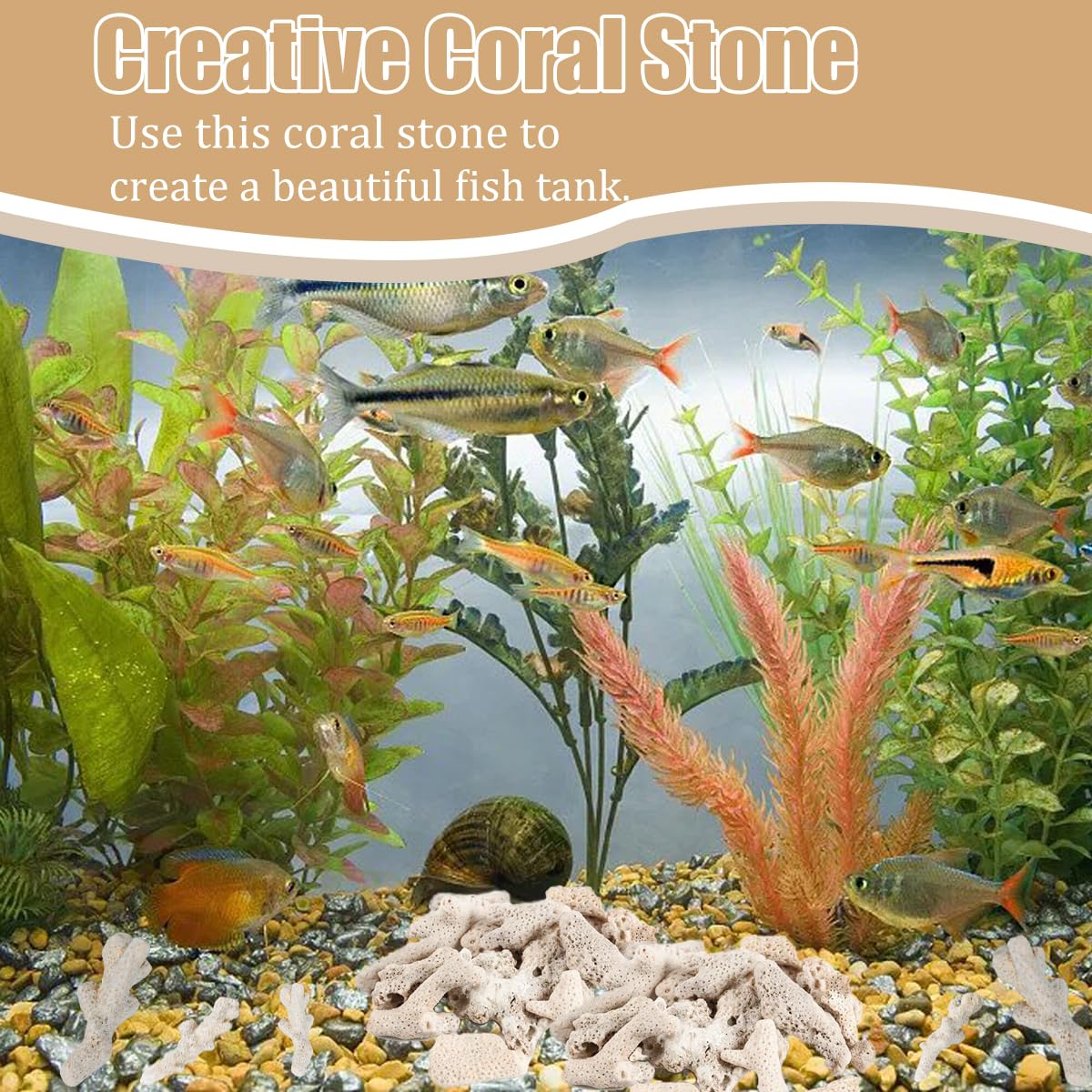 Jtuxcke: bolsa filtrante de coral para acuario.