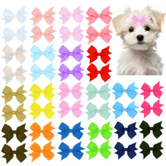 Lazo para pelo JUCCPUL de 2pulgadas en colores variados para paseos y fotos.