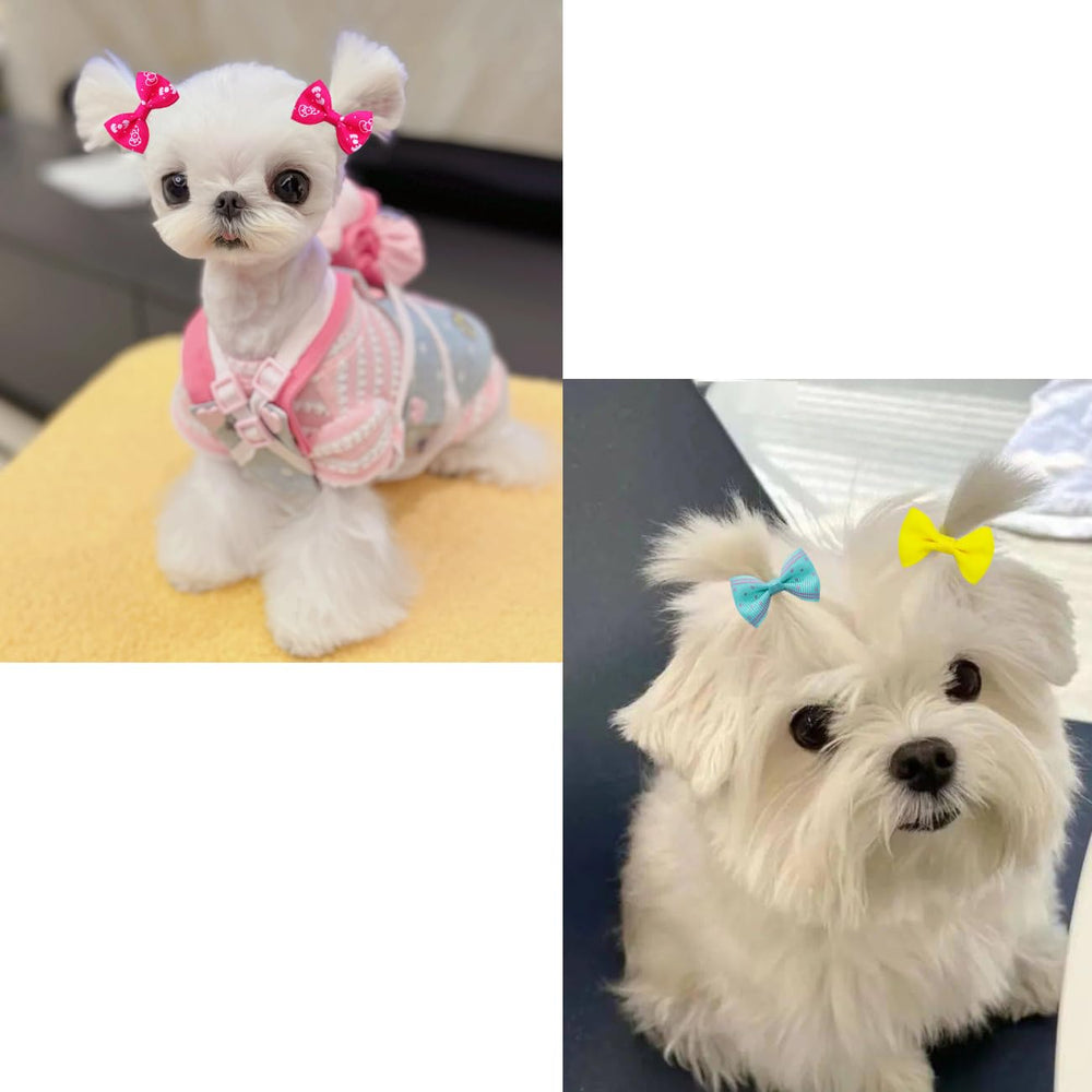 JUCCPUL Lazos de 1.5 pulgadas, perfectos para perros pequeños y medianos.