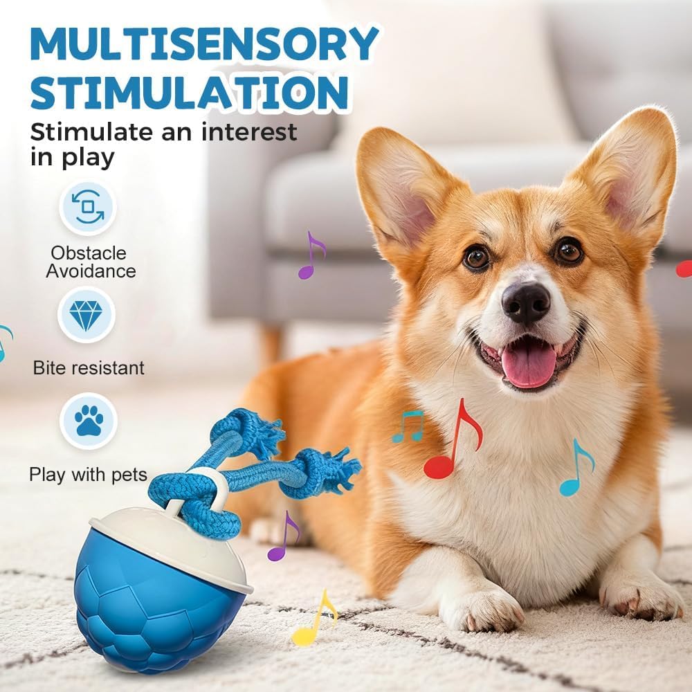 juguete perro interactivo apto para todos los tamaños de perros.