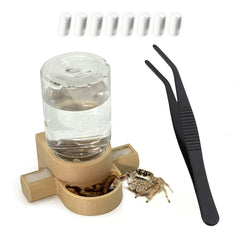 Julang dispensador de agua para araña saltarina, mantiene la humedad constante.