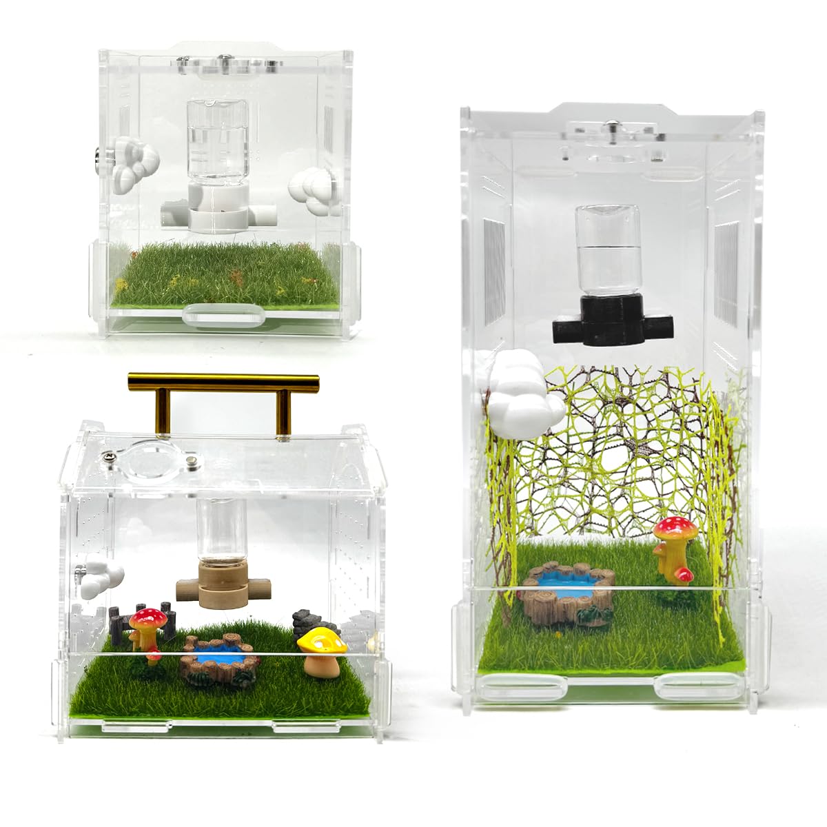Conjunto completo de Julang para arácnidos, uso versátil en hábitats variados.