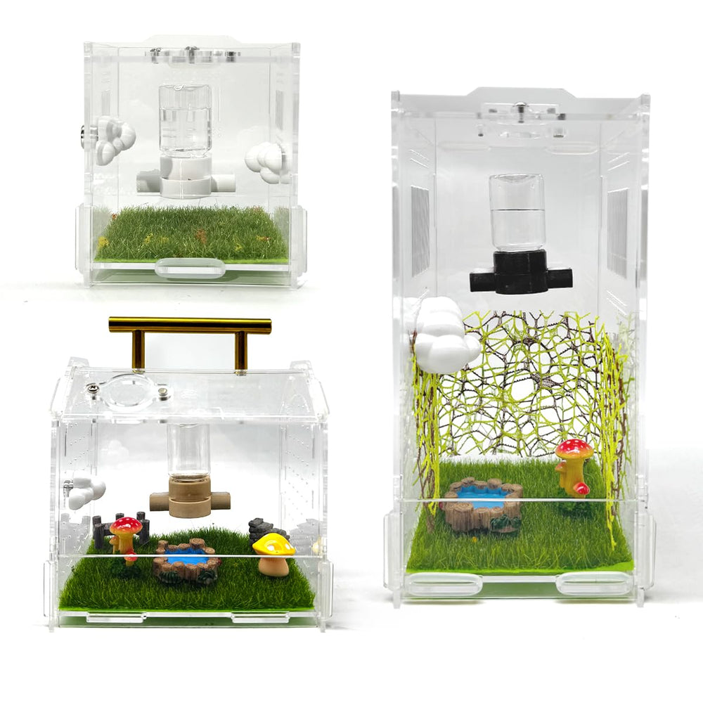 Conjunto completo de Julang para arácnidos, uso versátil en hábitats variados.