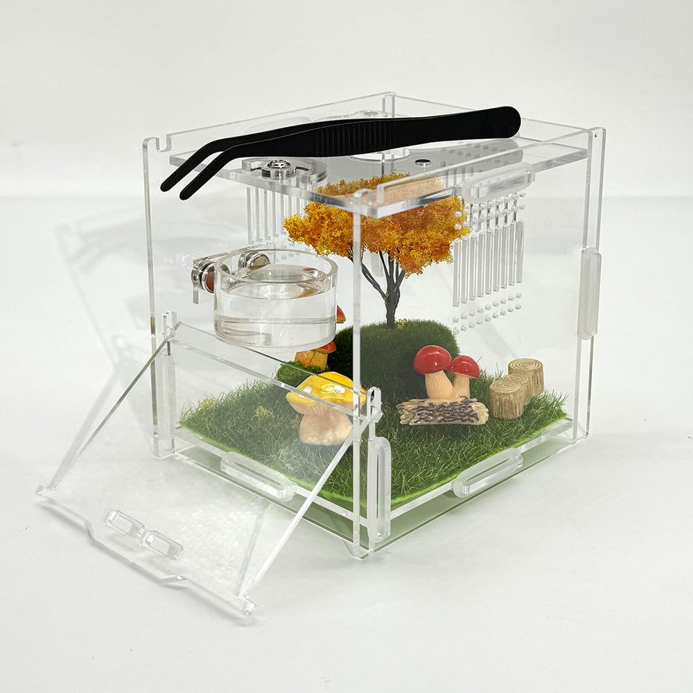 Julang set completo accesorios reptiles: conjunto práctico para alimentación