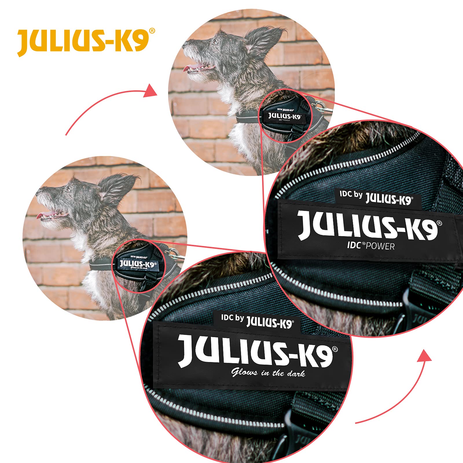 Julius-K9 IDC Powerharness, bolsillos-laterales-3l-4l: almacenamiento práctico.