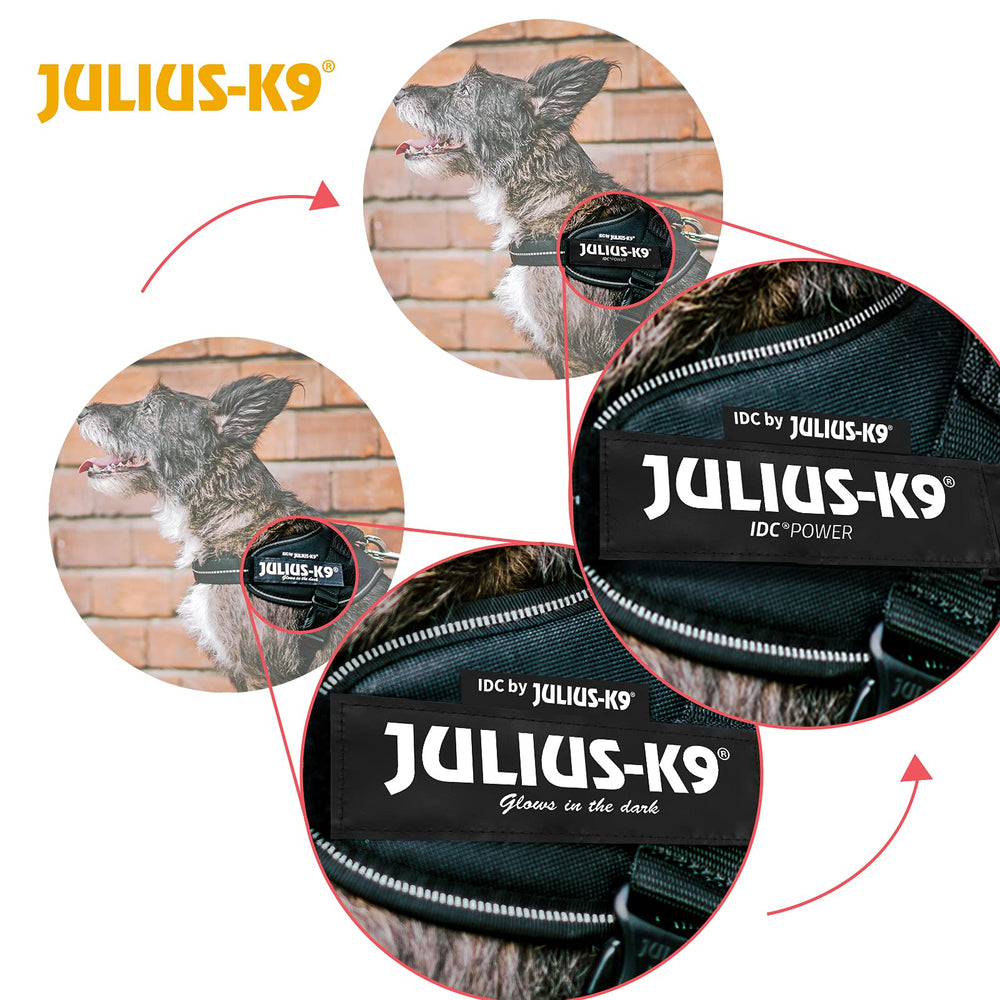 Julius-K9 IDC Powerharness, bolsillos-laterales-3l-4l: almacenamiento práctico.