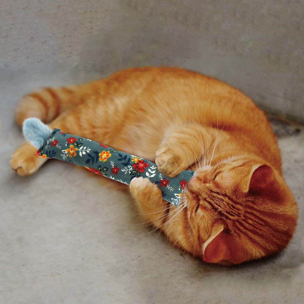 Jumpaws: empaque y accesorios listos para disfrutar con gatos.