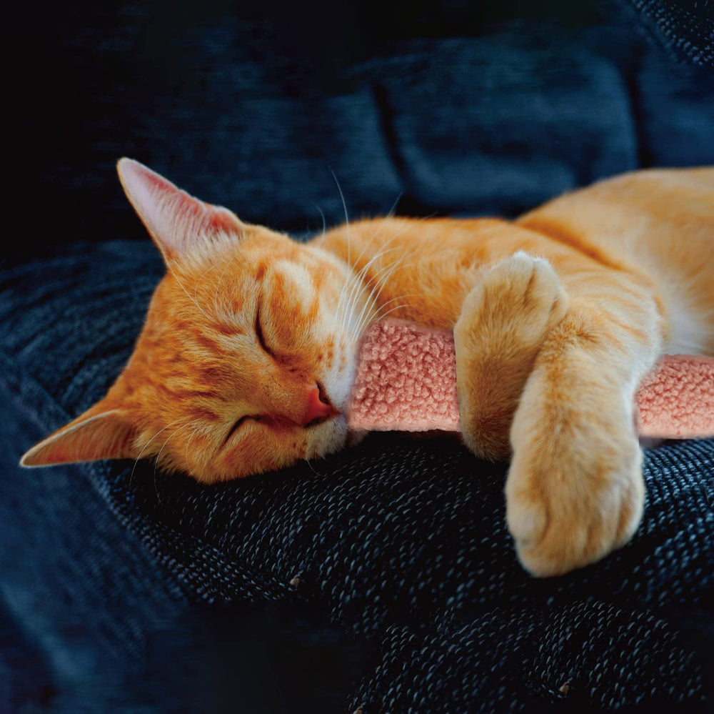Jumpaws: material sherpa suave para mayor confort durante las sesiones.