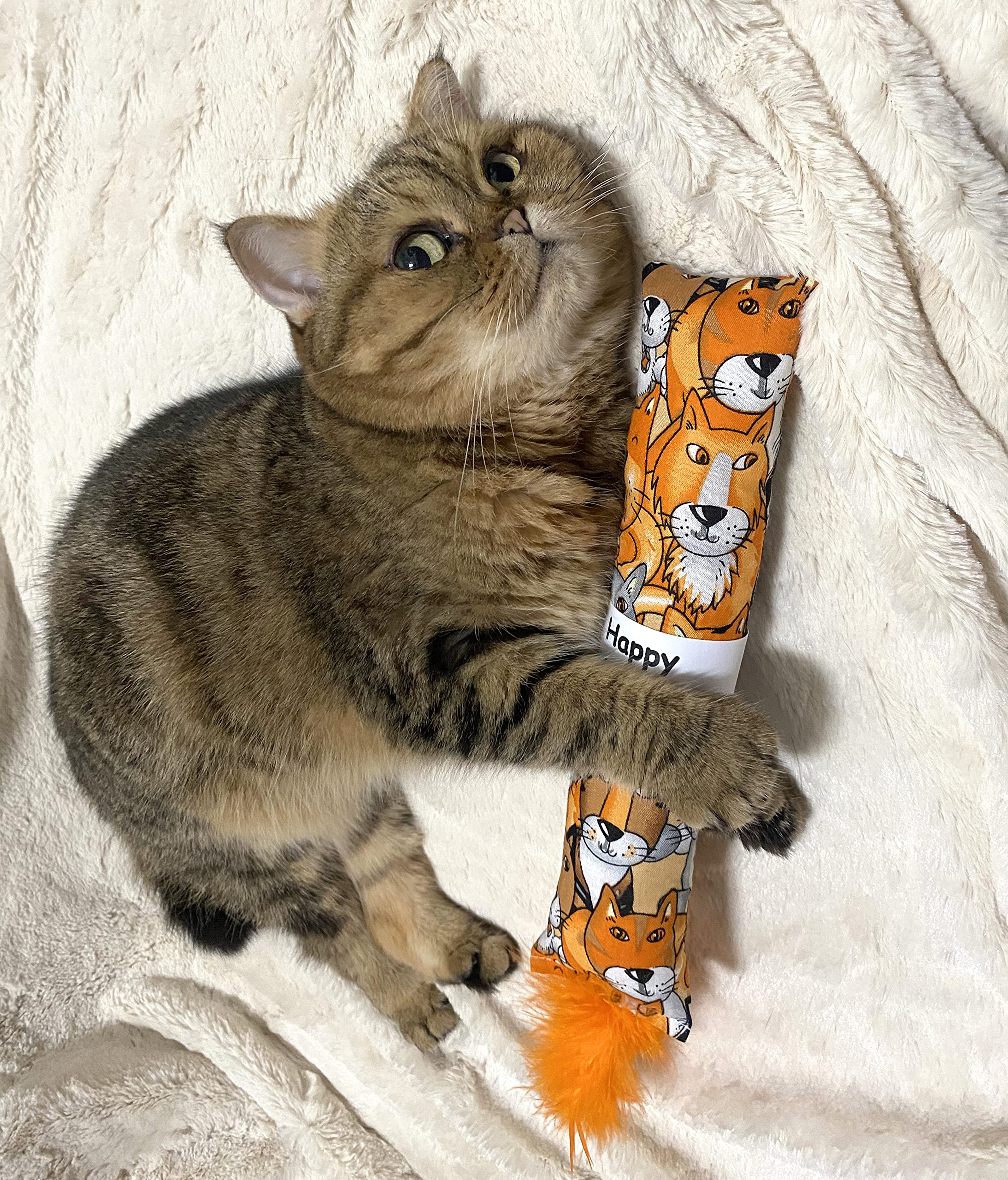 Jumpaws uso en interiores para gatos, perfecto para estimulación física.