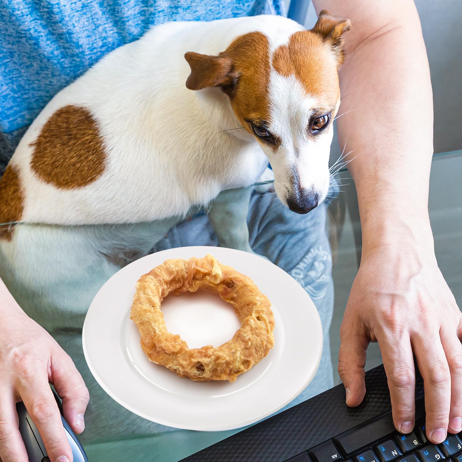 Jungle Calling: snack para perros adultos con sabor a carne natural