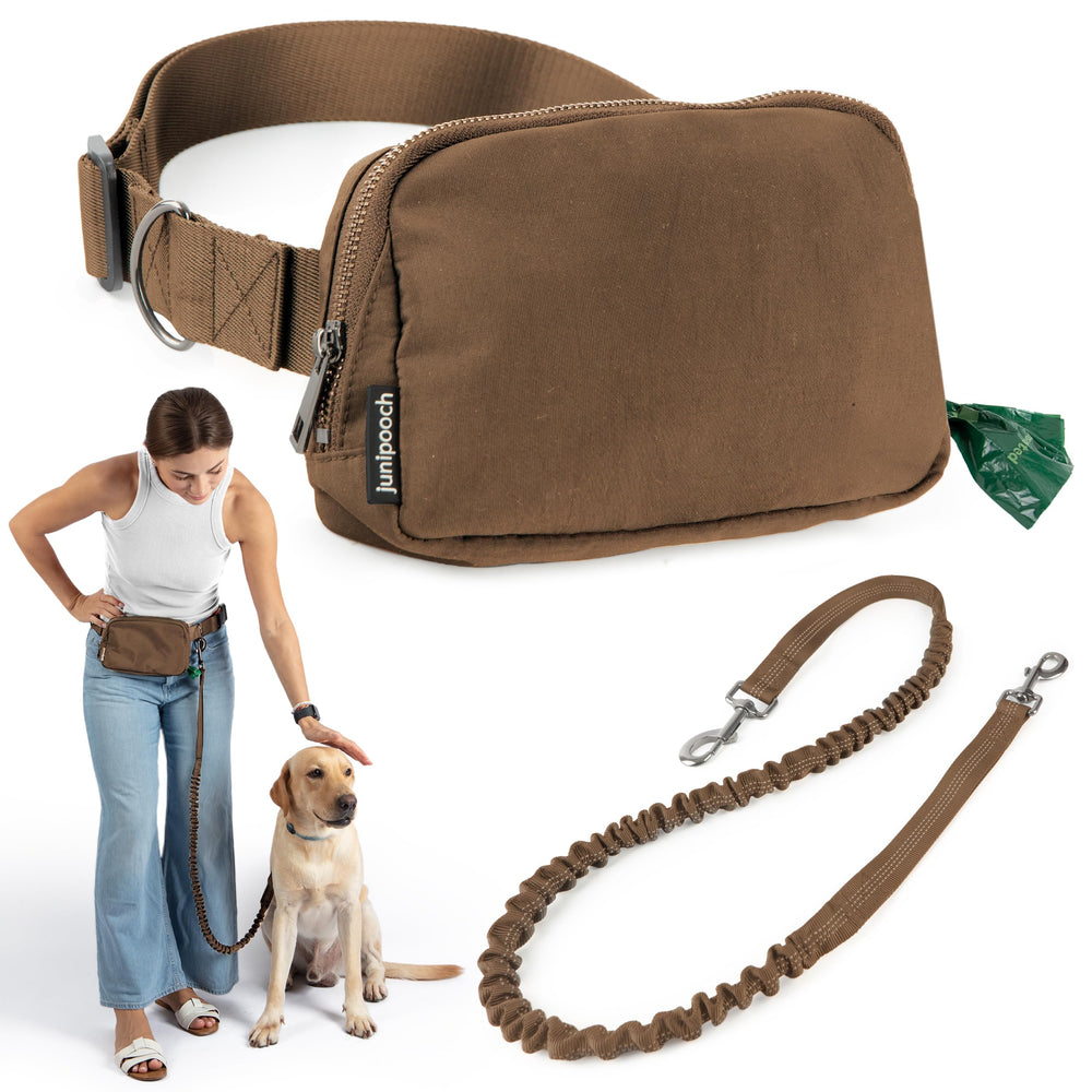 JUNIPOOCH paseo urbano con perro con libertad de movimiento