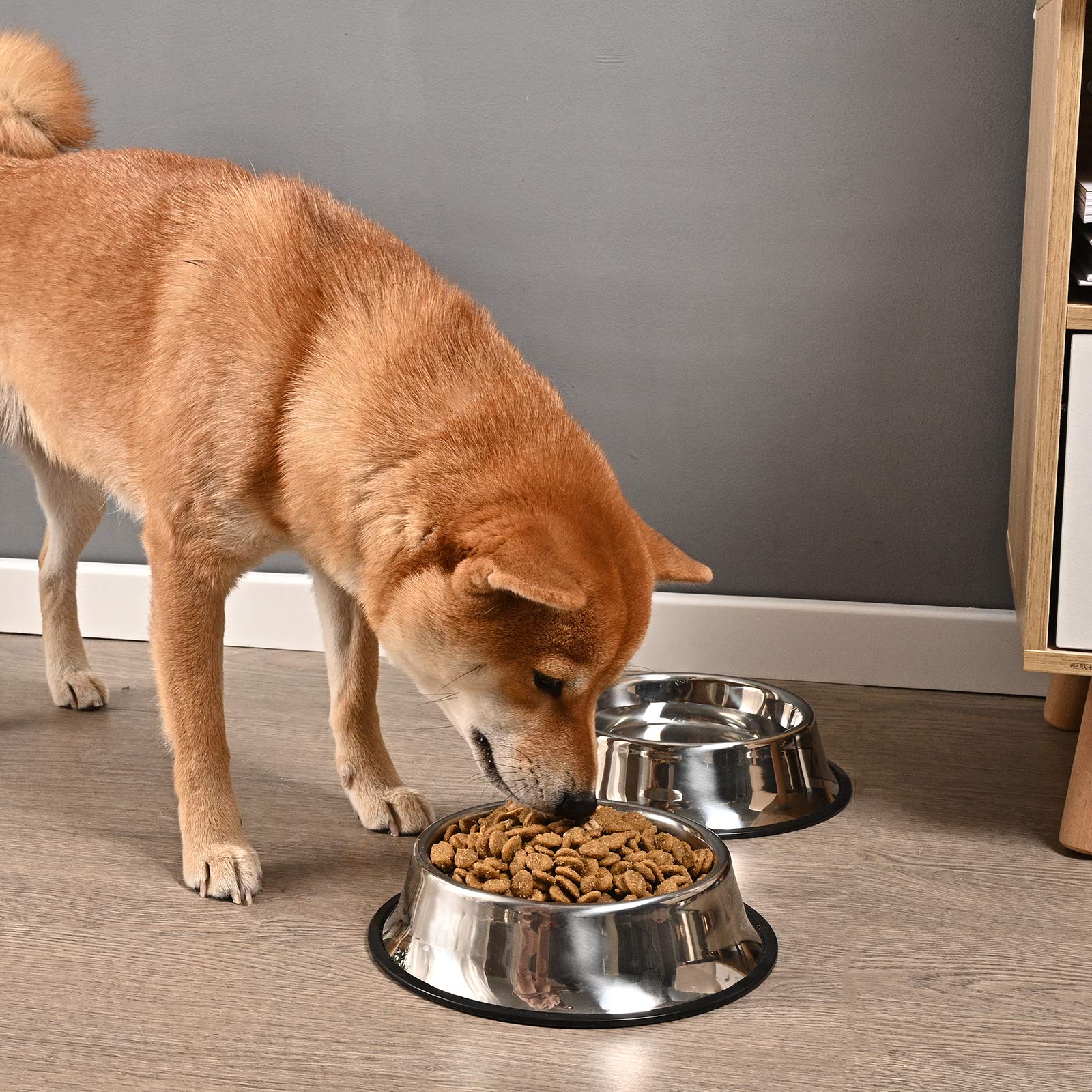 Juqiboom disponibles en varios tamaños para perros y gatos de todas las razas.