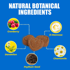 Just Try 300 Bocados arándano y d-mannosa, ingredientes naturales
