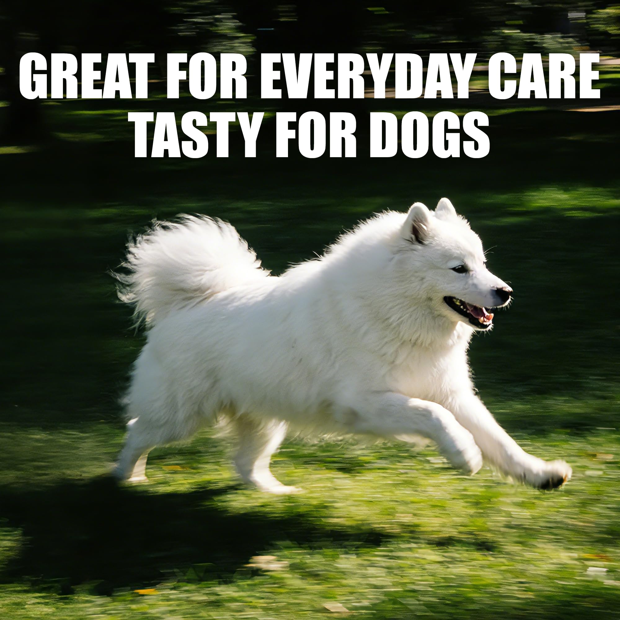 Just Try CoQ10 para perros, frasco con 300 bocados de pollo para la rutina diaria.