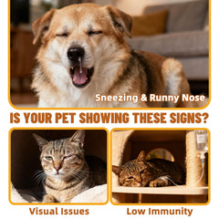 Just Try Lisina en polvo para gatos, medida fácil para dosis diarias