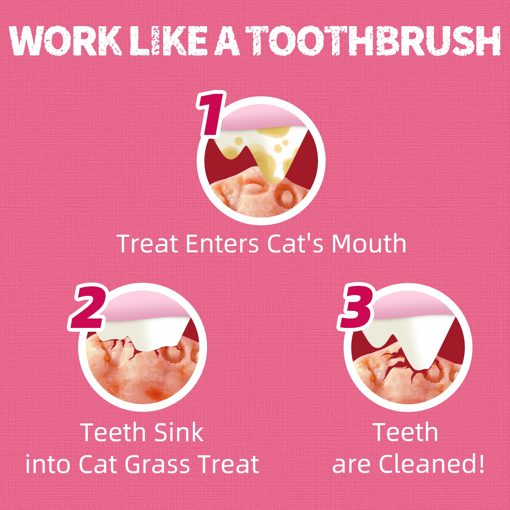 Just Try premios para cuidado dental felino, textura crujiente útil.