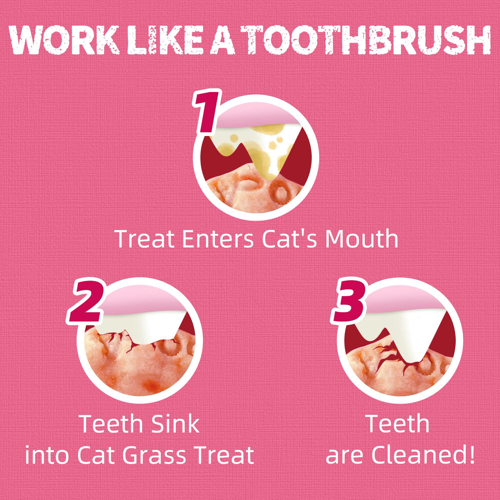 Just Try premios para cuidado dental felino, textura crujiente útil.