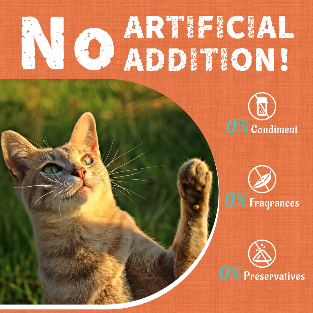 Just Try Premios Colágeno para Gatos, uso diario delicioso
