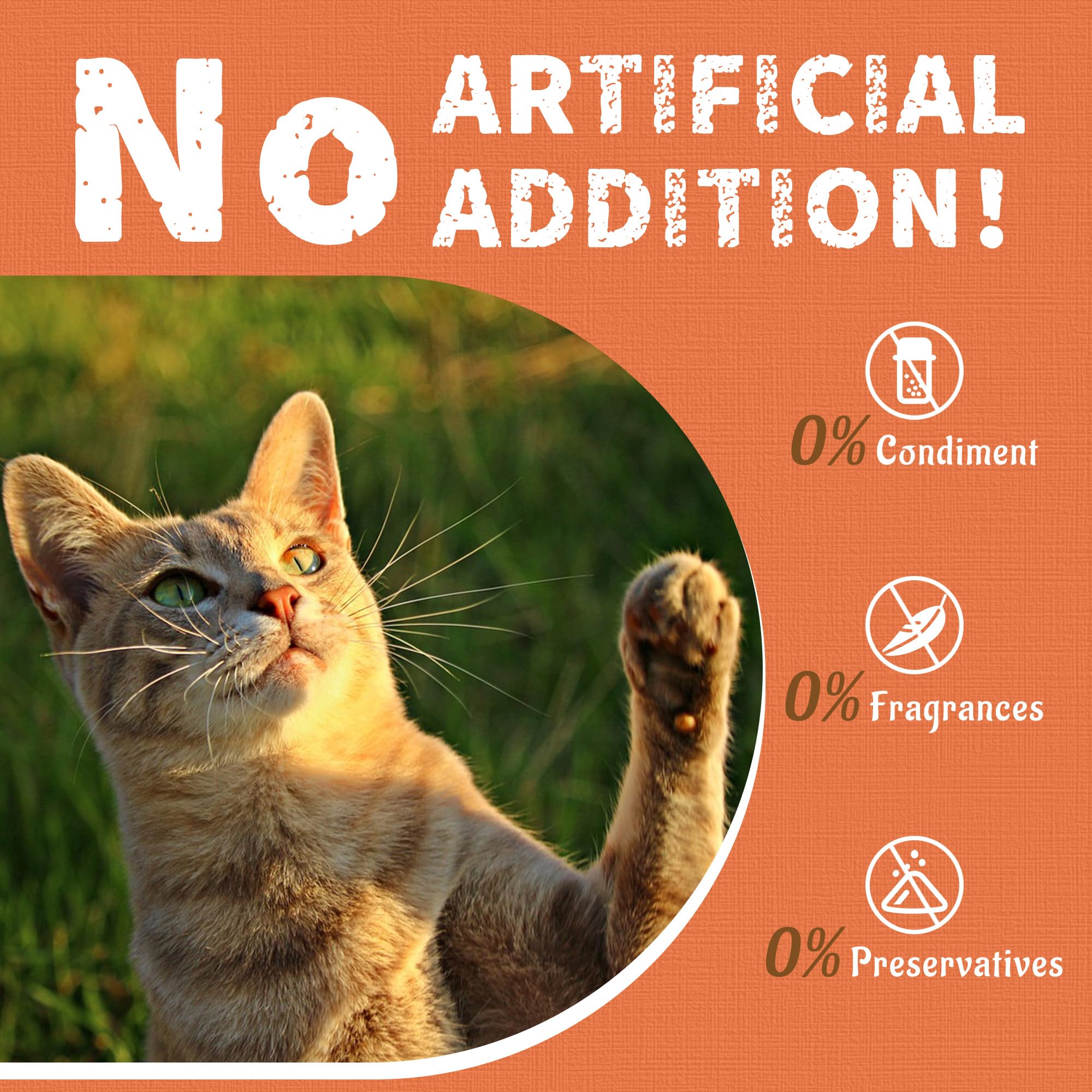 Just Try snack diario nutritivo lisina para gatos y gatitos