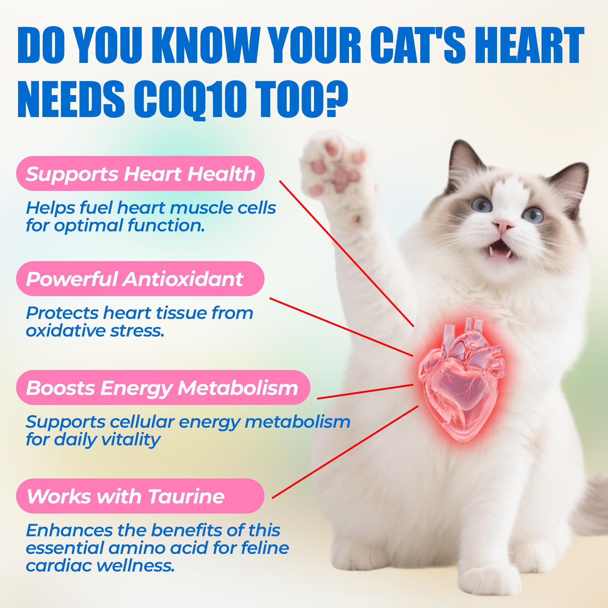 Just Try taurina coq10, ingredientes clave para gatos