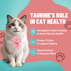 Just Try Taurina y Lisina para Gatos: lista de ingredientes y uso diario.