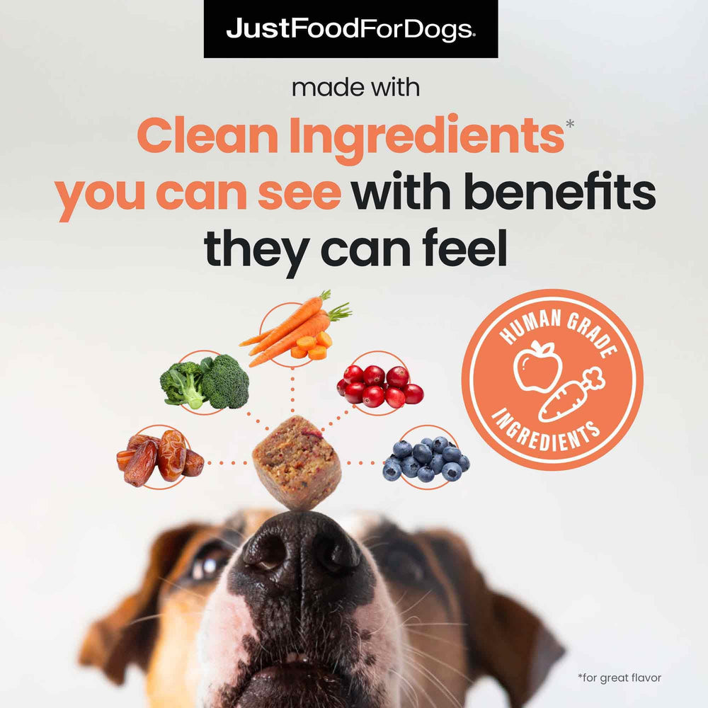 JustFoodForDogs aceite de algas omega-3 mejora piel y articulaciones
