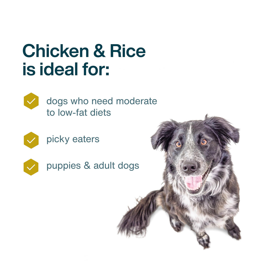 JustFoodForDogs bowl de comida perro, presentación atractiva en la hora de comer