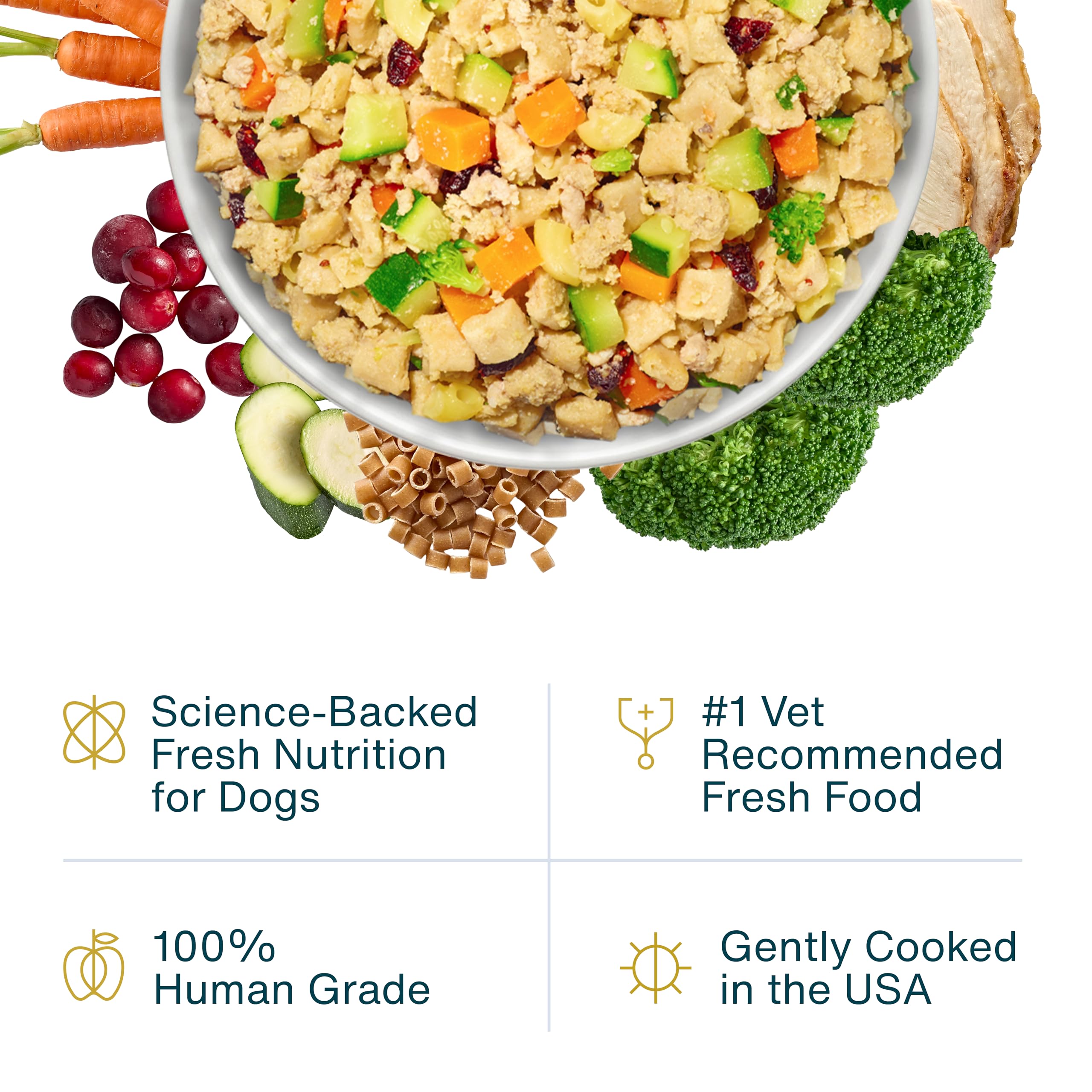 JustFoodForDogs comida pavo macarroni servida en plato para perros activos