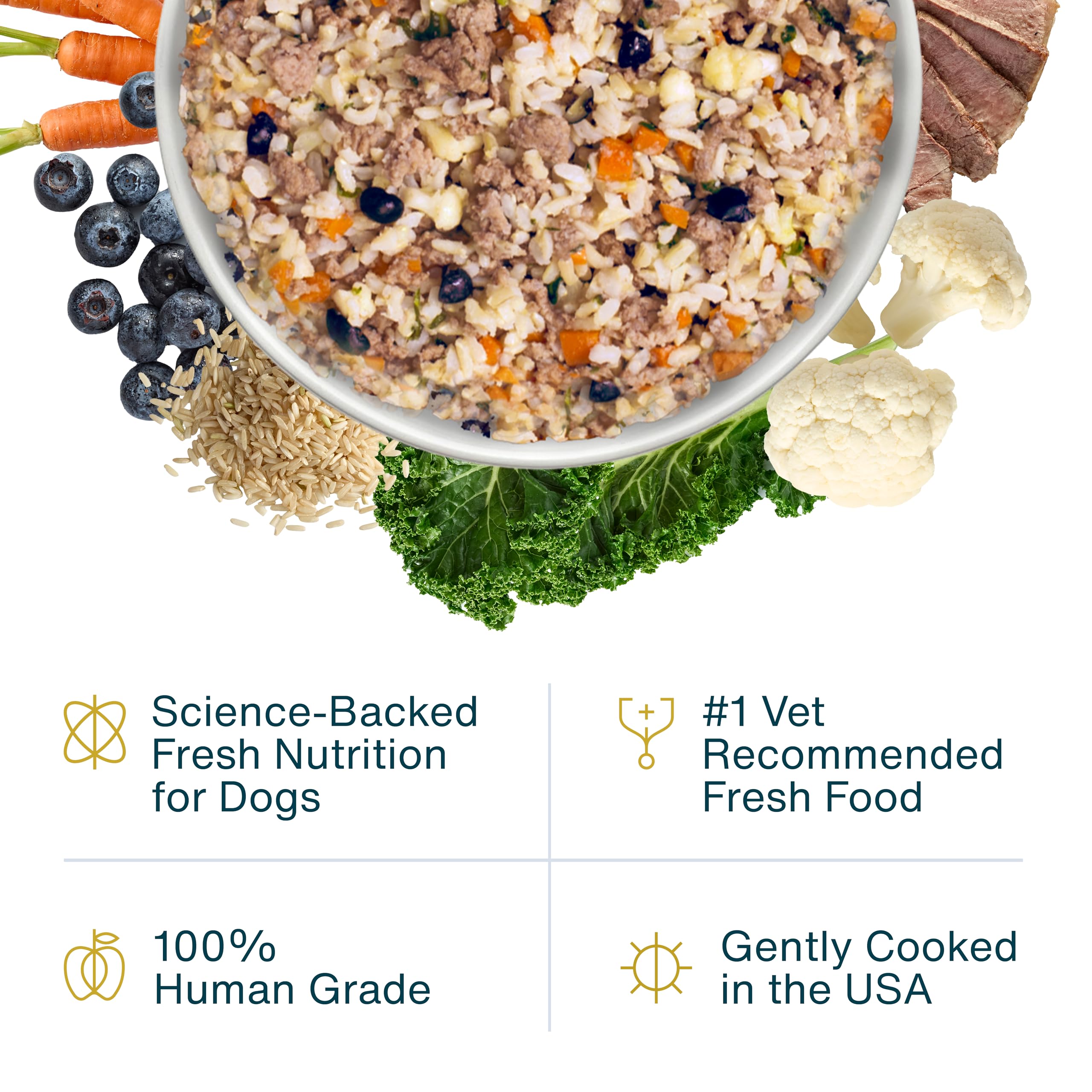 JustFoodForDogs alimento húmedo completo, cordero-arroz marrón, facilita dieta diaria equilibrada.