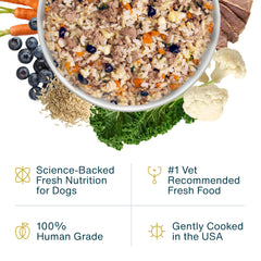 JustFoodForDogs alimento húmedo completo, cordero-arroz marrón, facilita dieta diaria equilibrada.