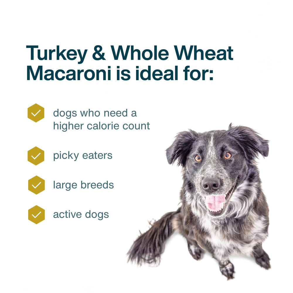 JustFoodForDogs comida húmeda completa de pavo y macarrones para perros activos.