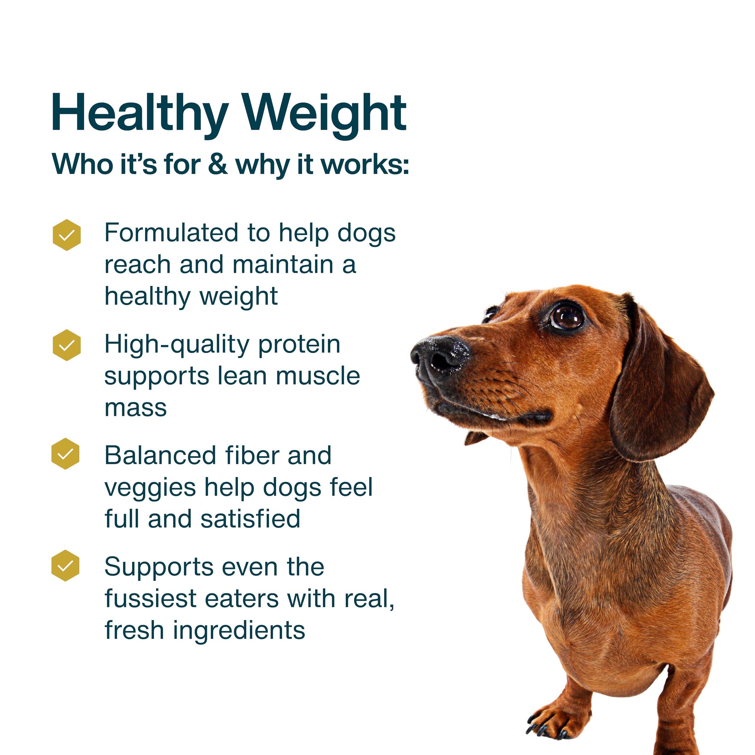 JustFoodForDogs dieta balanceada sin conservantes: opción natural para perros activos.