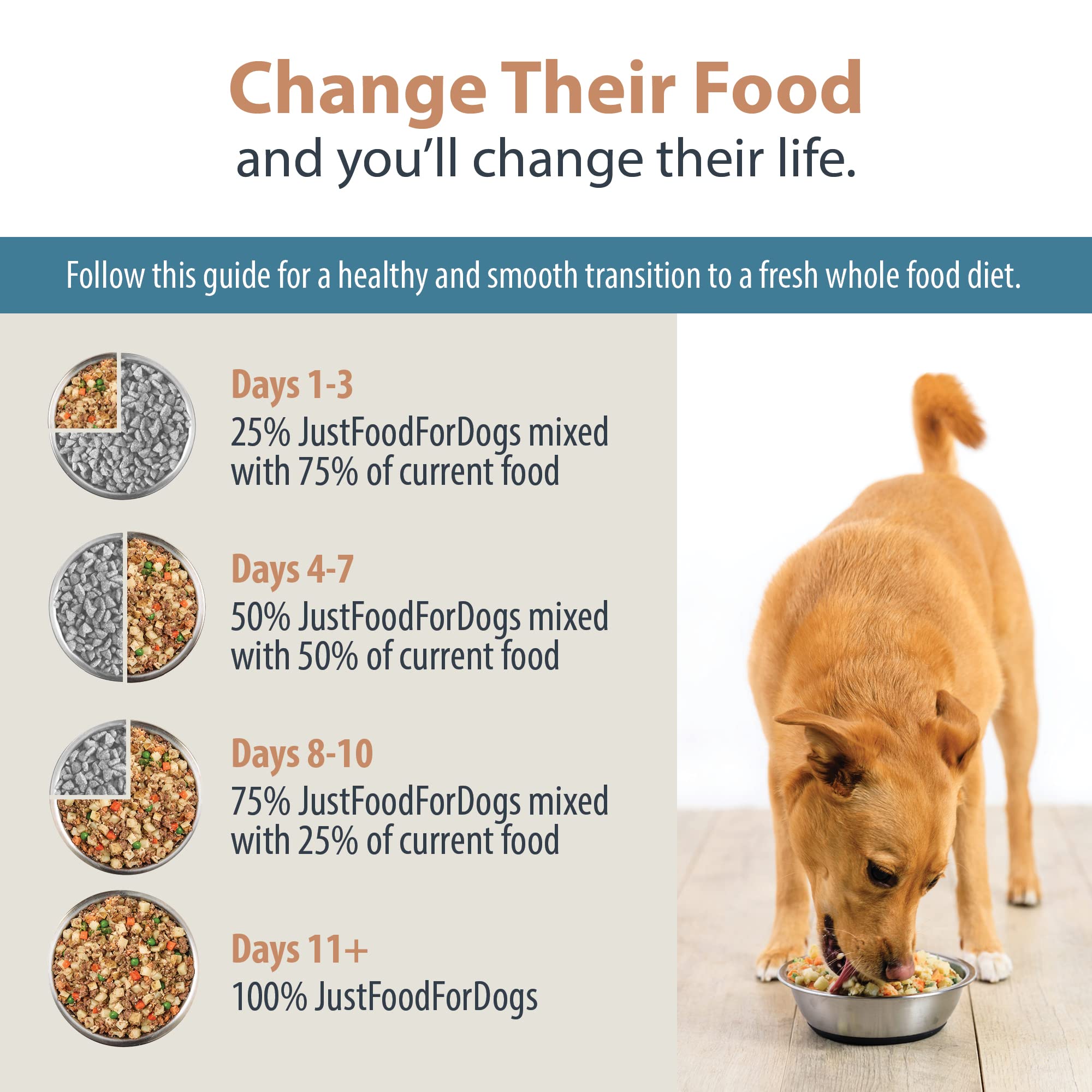 JustFoodForDogs ideal para viajes con comida práctica.