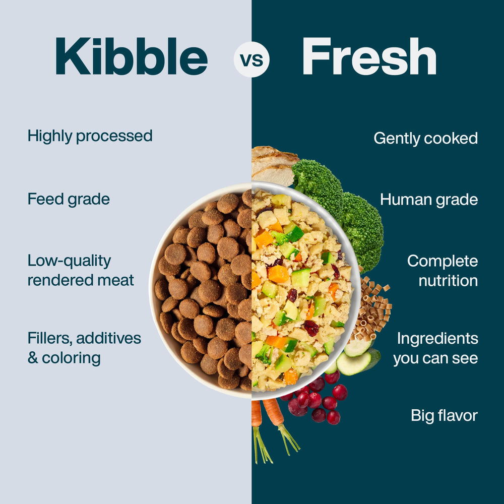 JustFoodForDogs opción ideal para viajar con perro y mantener la dieta.