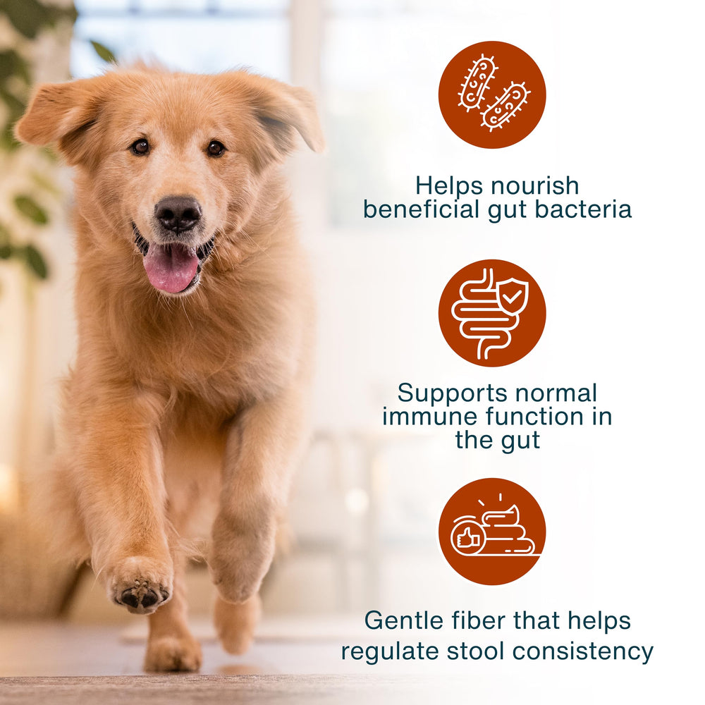JustFoodForDogs ingredientes frescos grado humano para perros, calidad visible