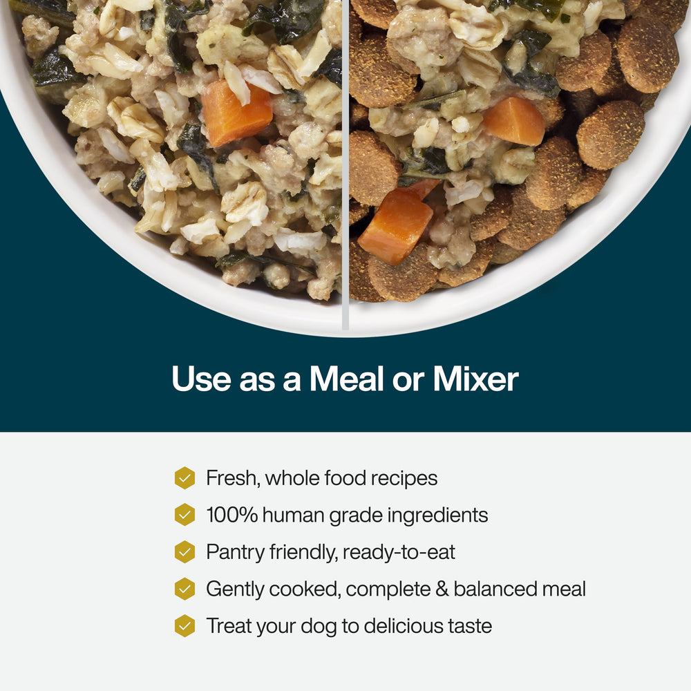 JustFoodForDogs JustFresh: variedad de sabores de cerdo