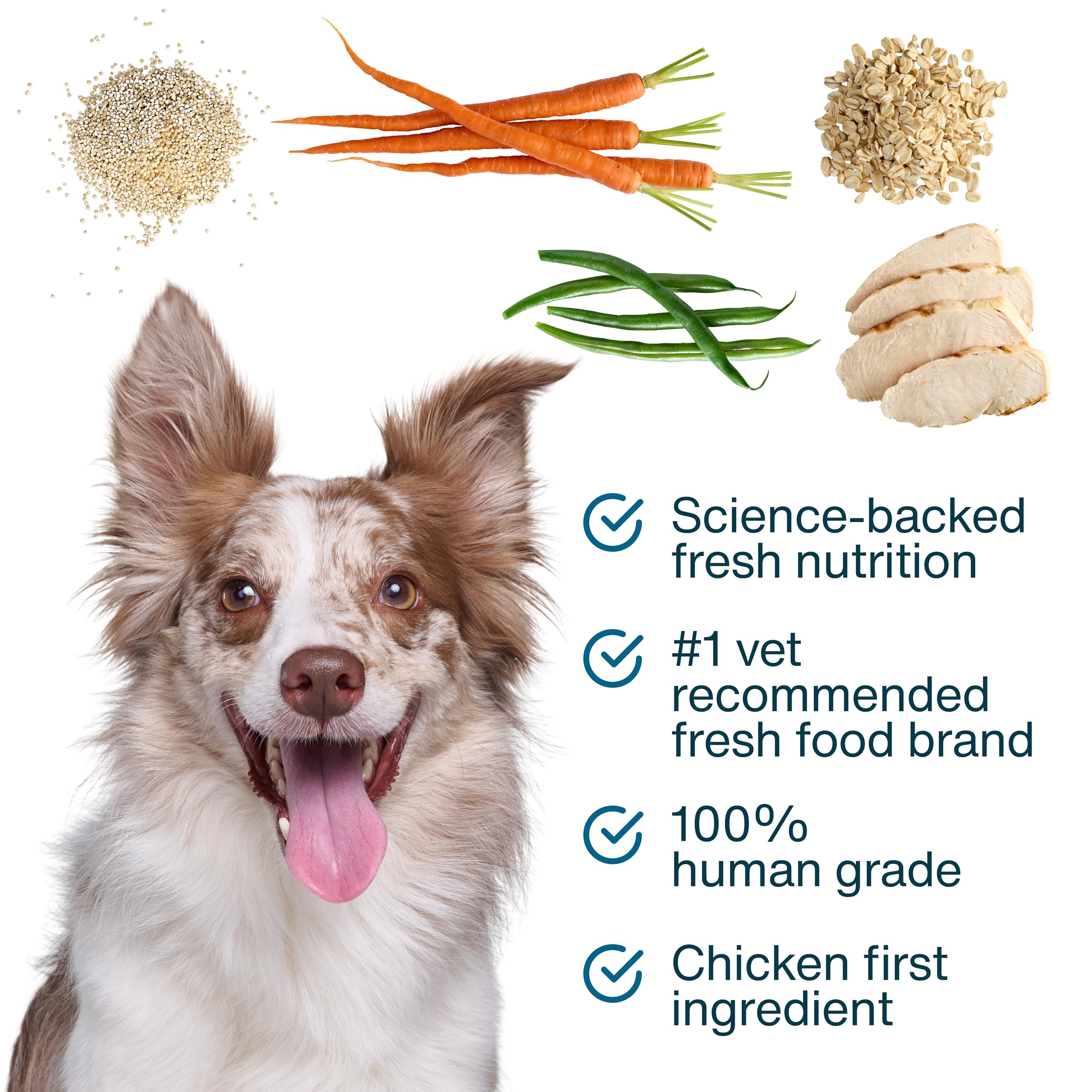JustFoodForDogs JustFresh Boost Piel Sensible textura suave que agrada a perros quisquillosos.