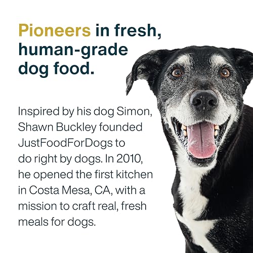 JustFoodForDogs JustFresh ideal para viajes y almacenamiento