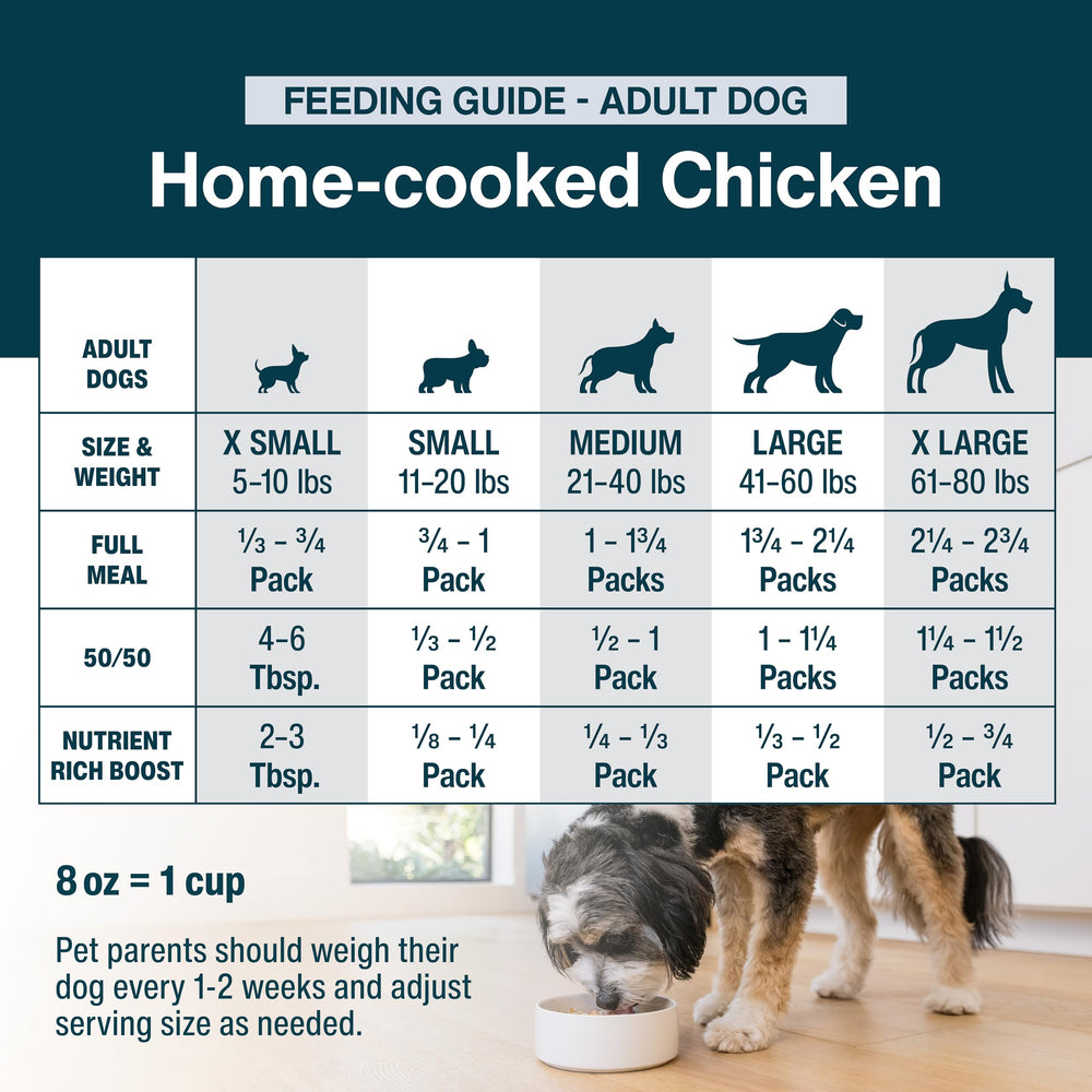 JustFoodForDogs JustFresh, perro comiendo, experiencia de comida fresca.