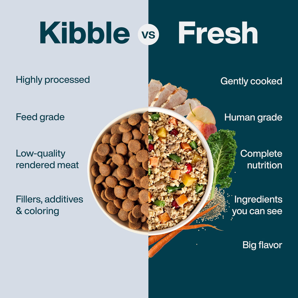 JustFoodForDogs JustFresh: porciones listas para alimentar