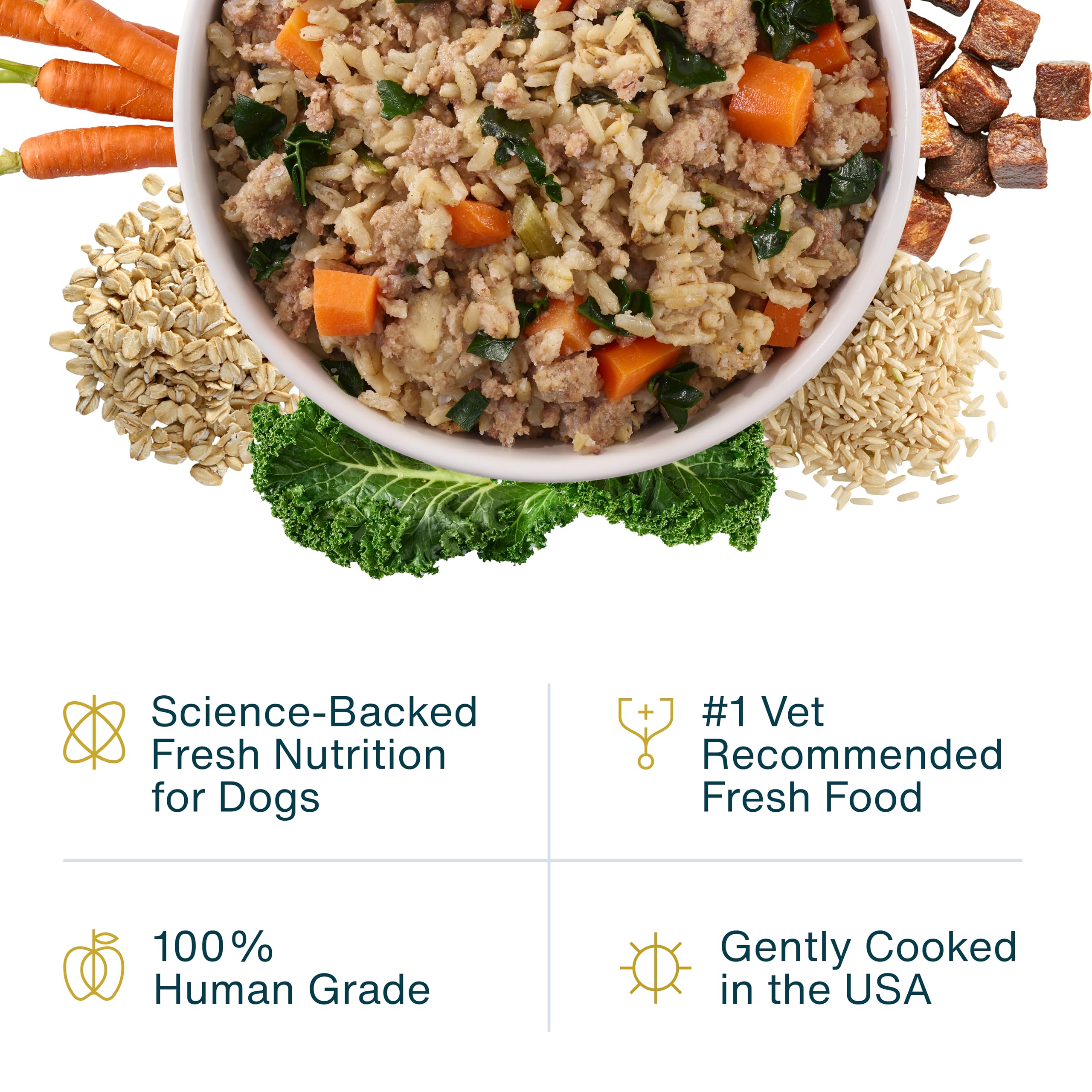 JustFoodForDogs JustFresh servido en tazón, ideal como comida completa para perros