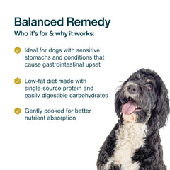 JustFoodForDogs Pantry Fresco, comida para perros en formato completo