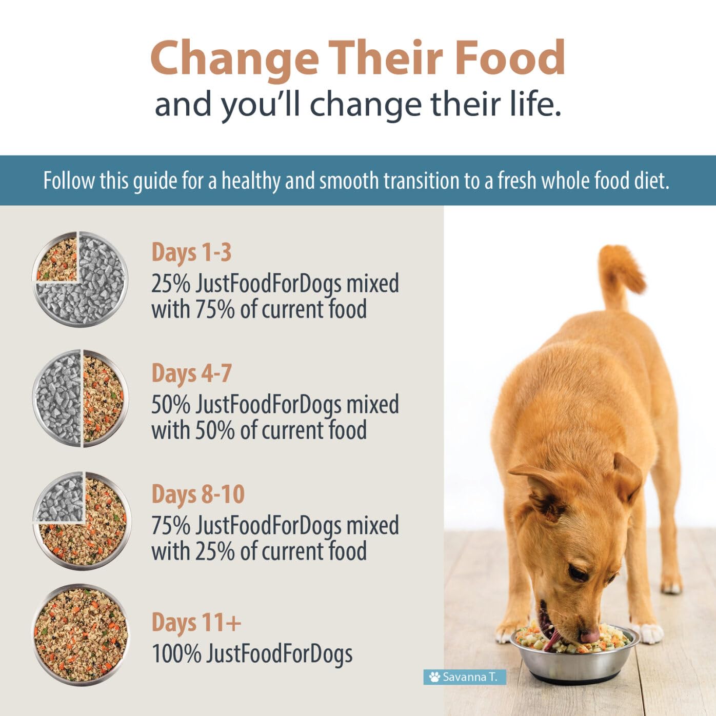 JustFoodForDogs Pantry Fresh refuerzo nutritivo, ideal como complemento de la dieta actual.