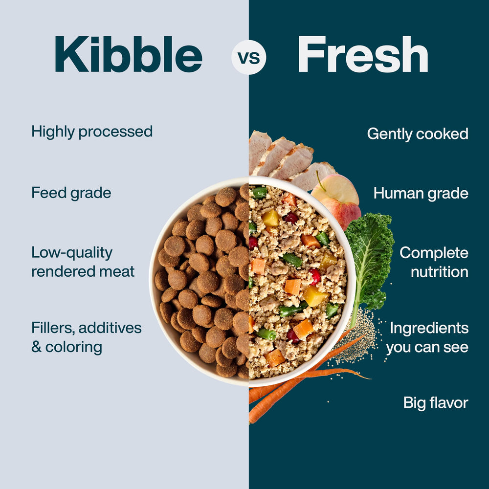 JustFoodForDogs Pantry Fresh libre de conservantes y colorantes