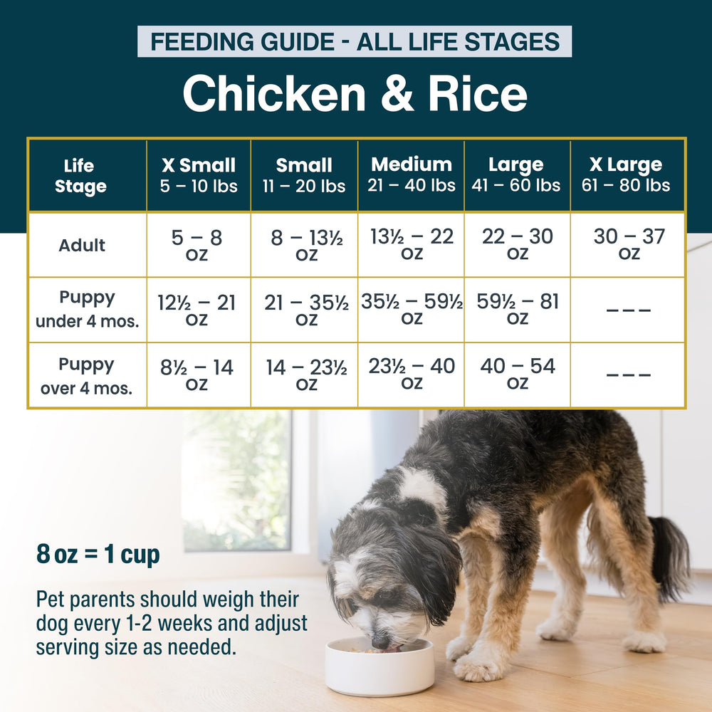 JustFoodForDogs ideal para viajes gracias a su empaque