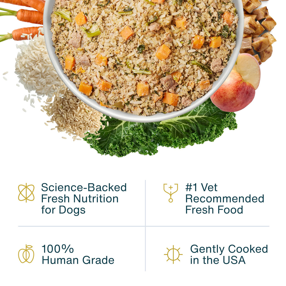 JustFoodForDogs textura cremosa atractiva que invita a comer