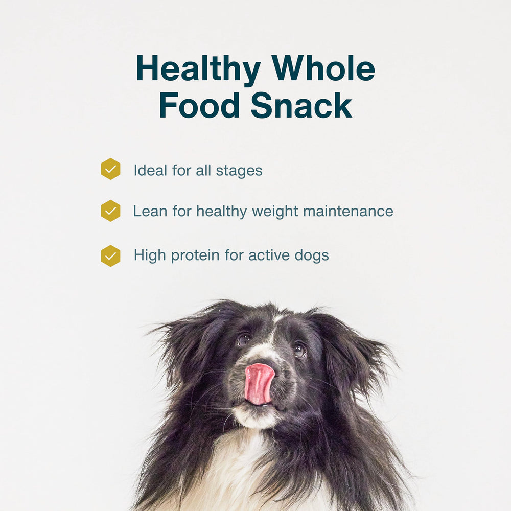 Perro disfrutando el snack saludable de JustFoodForDogs