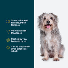 JustFoodForDogs Recetas con patata russet para perros.